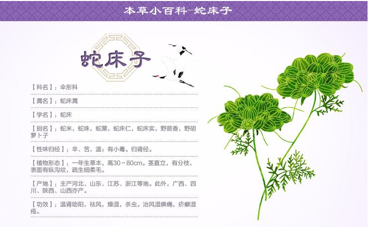 婦科凝膠加工 婦科凝膠加工